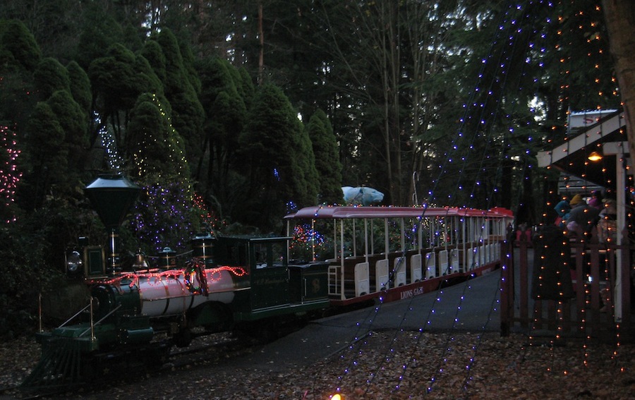 The Miniature Train